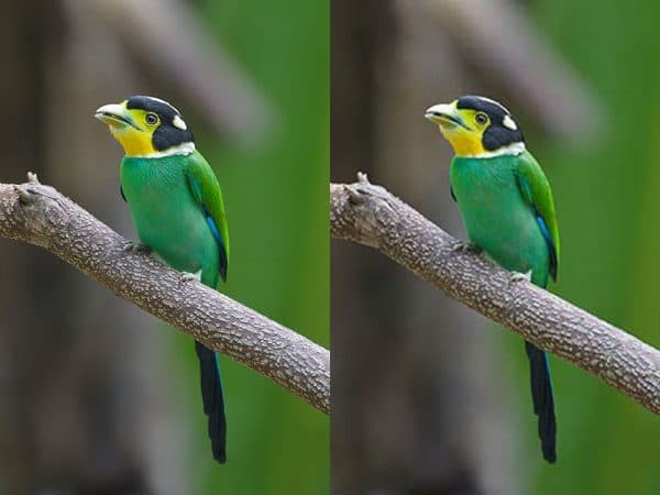 9 Best Free Image Compression Tools For Your Website